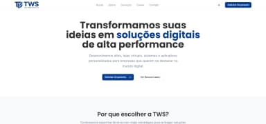 TWS – Nosso próprio site como case de sucesso